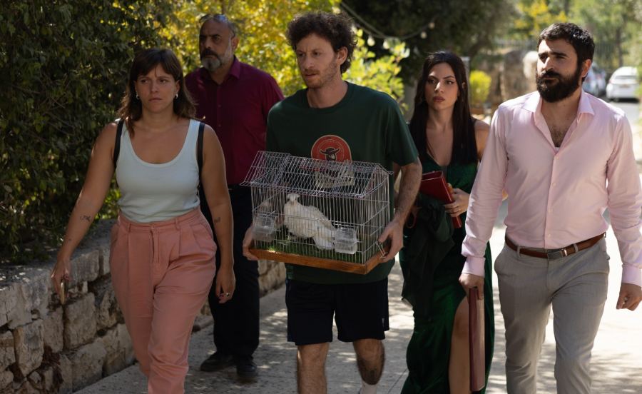 المُخرج العكيّ جمال خلايلة و«بيلا»: كوميديا استثنائية عن واقع مشترك تصل إلى شاشات السينما